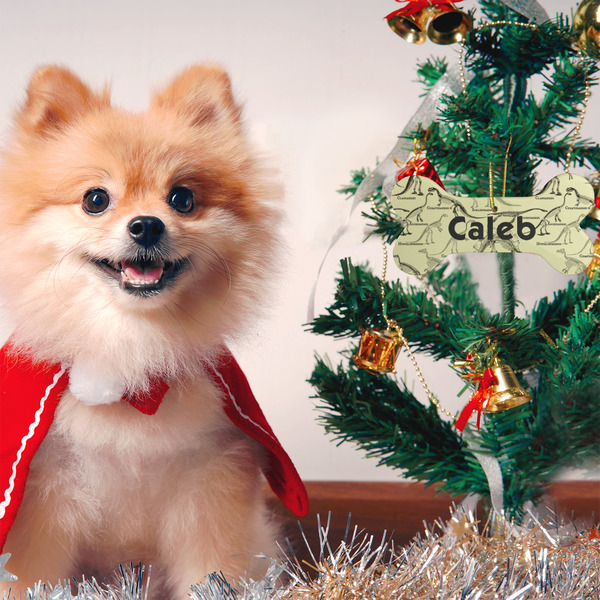 Dinosaur Skeletons Ceramic Flat Ornament - Bone (LIFESTYLE)