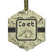 Dinosaur Skeletons Flat Glass Ornament - Hexagon w/ Name or Text