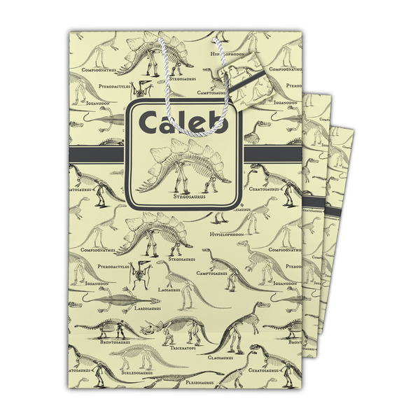 Dinosaur Skeletons Gift Bags - Parent/Main