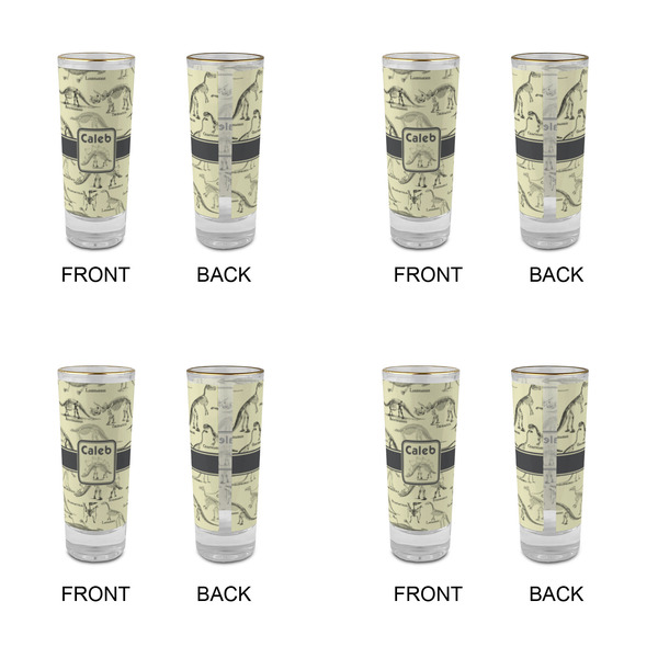 Dinosaur Skeletons Glass Shot Glass - 2 oz - Set of 4 - APPROVAL