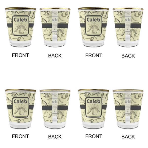 Dinosaur Skeletons Glass Shot Glass - with gold rim - Set of 4 - APPROVAL