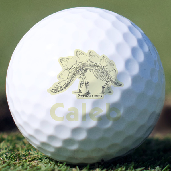 Custom Dinosaur Skeletons Golf Balls - Titleist Pro V1 - Set of 3 (Personalized)