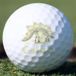 Dinosaur Skeletons Golf Balls - Non-Branded - Set of 3 (Personalized)
