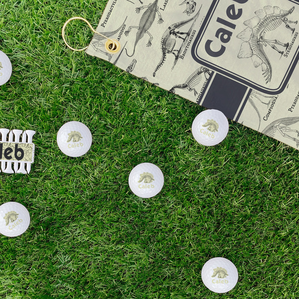 Dinosaur Skeletons Golf Balls - Generic - Set of 12 - LIFESTYLE