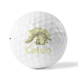 Dinosaur Skeletons Golf Balls (Personalized)