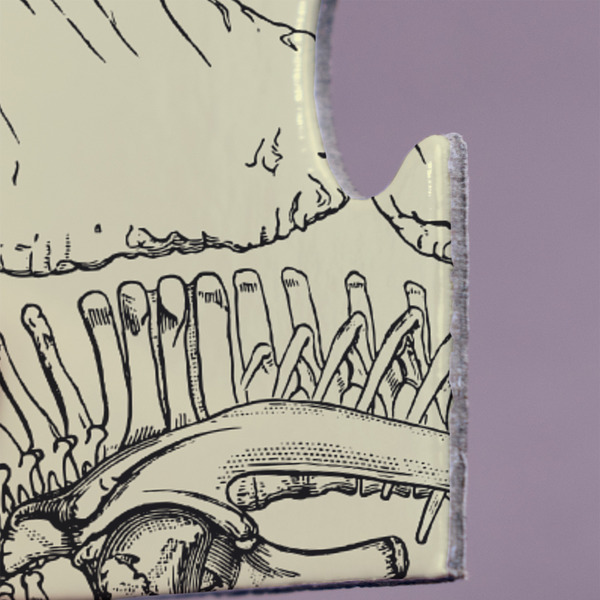 Dinosaur Skeletons Jigsaw Puzzle 30 Piece  - Close Up