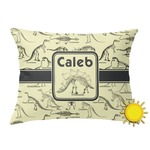 Dinosaur Skeletons Outdoor Throw Pillow (Rectangular) (Personalized)