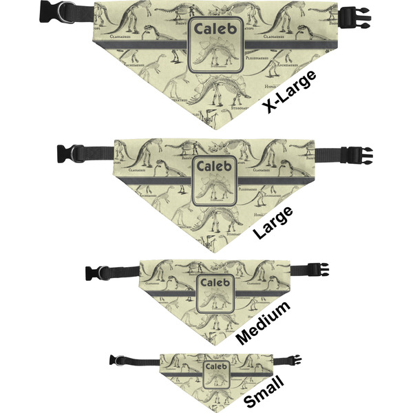 Dinosaur Skeletons Pet Bandana Sizes