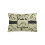 Dinosaur Skeletons Pillow Case - Toddler (Personalized)
