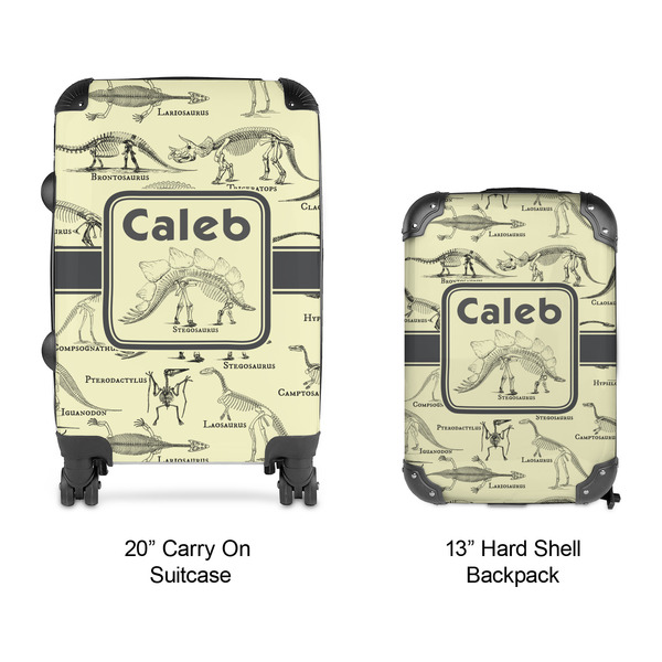 Dinosaur Skeletons Suitcase Set 4 - APPROVAL
