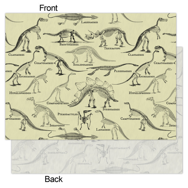 Dinosaur Skeletons Tissue Paper - Heavyweight - Large - Front & Back