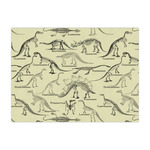 Dinosaur Skeletons Tissue Paper Sheets - Large - Heavyweight