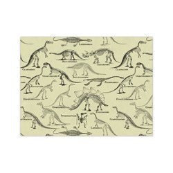 Dinosaur Skeletons Tissue Paper Sheets - Medium - Heavyweight
