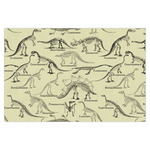 Dinosaur Skeletons Tissue Paper Sheets - X-Large - Heavyweight