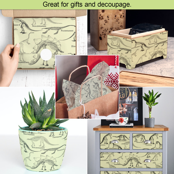 Dinosaur Skeletons Tissue Paper - In Use Collage