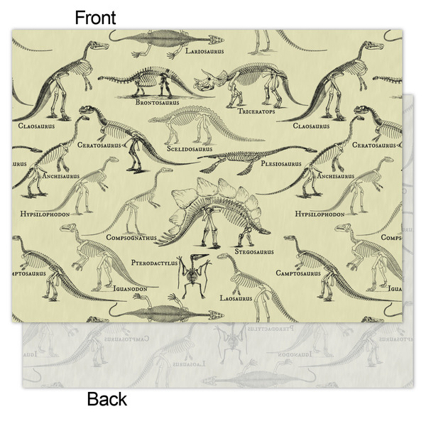 Dinosaur Skeletons Tissue Paper - Lightweight - Medium - Front & Back