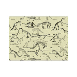 Dinosaur Skeletons Tissue Paper Sheets - Medium - Lightweight