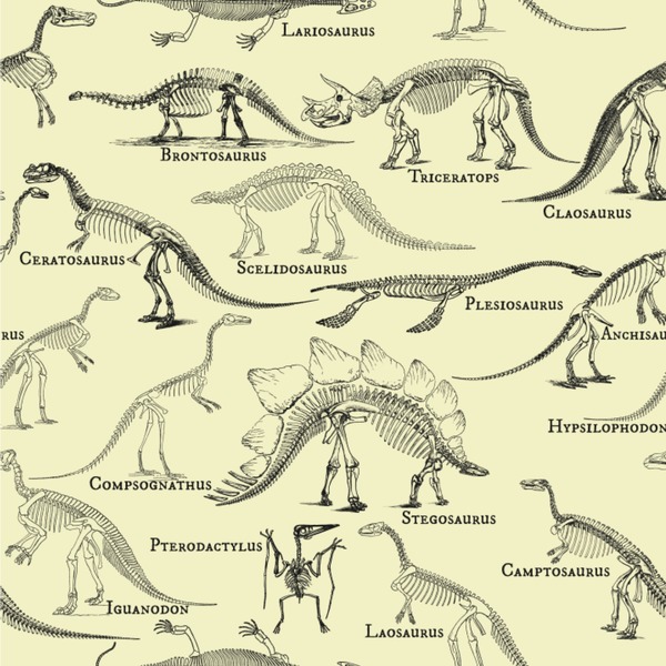 Custom Dinosaur Skeletons Wallpaper & Surface Covering (Water Activated 24"x 24" Sample)
