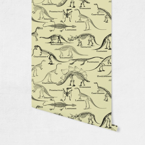 Dinosaur Skeletons Wallpaper on Wall