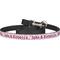 Valentine's Day Dog Leash (Personalized)