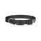 Hipster Dogs Dog Collar - Small - Back