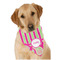 Pink & Green Paisley and Stripes Bandana - On Dog