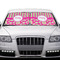 Pink & Green Paisley and Stripes Car Sun Shades - IN CONTEXT