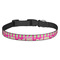 Pink & Green Paisley and Stripes Dog Collar (Personalized)