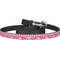 Pink & Green Paisley and Stripes Dog Leash w/ Metal Hook2