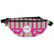 Pink & Green Paisley and Stripes Fanny Pack - Front