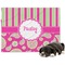 Pink & Green Paisley and Stripes Dog Blanket - Large (Personalized)