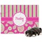 Pink & Green Paisley and Stripes Dog Blanket (Personalized)