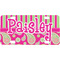 Pink & Green Paisley and Stripes Mini/Bicycle License Plate (Personalized)