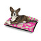 Pink & Green Paisley and Stripes Outdoor Dog Beds - Medium - IN CONTEXT