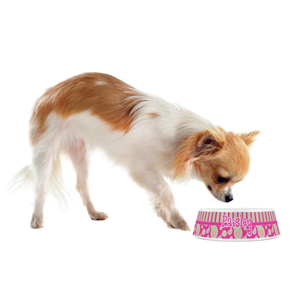 Pink & Green Paisley and Stripes Plastic Pet Bowls - Small - LIFESTYLE