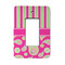 Pink & Green Paisley and Stripes Rocker Light Switch Covers - Single - MAIN