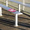 Pink & Green Paisley and Stripes Stadium Cushion (In Stadium)
