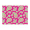 Pink & Green Paisley and Stripes Tissue Paper Sheets - Large - Heavyweight