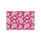 Pink & Green Paisley and Stripes Tissue Paper Sheets - Small - Heavyweight