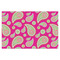 Pink & Green Paisley and Stripes Tissue Paper Sheets - X-Large - Heavyweight