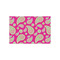 Pink & Green Paisley and Stripes Tissue Paper Sheets - Small - Lightweight