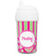 Pink & Green Paisley and Stripes Sippy Cup (Personalized)