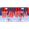 Classic Anchor & Stripes Mini / Bicycle License Plate (4 Holes) (Personalized)