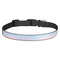 Striped w/ Whales Dog Collar (Personalized)