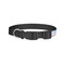 Striped w/ Whales Dog Collar - Small - Back