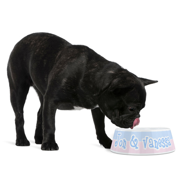 Striped w/ Whales Plastic Pet Bowls - Medium - LIFESTYLE