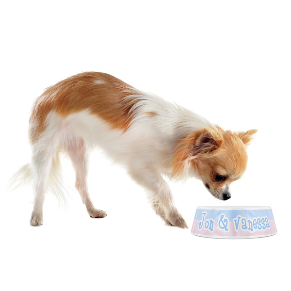 Striped w/ Whales Plastic Pet Bowls - Small - LIFESTYLE