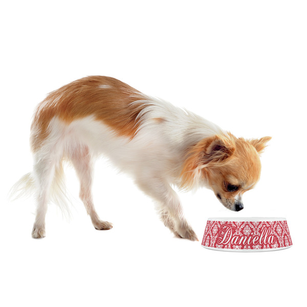 Damask Plastic Pet Bowls - Small - LIFESTYLE