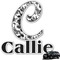 Toile Graphic Car Decal - Custom Size (Personalized)