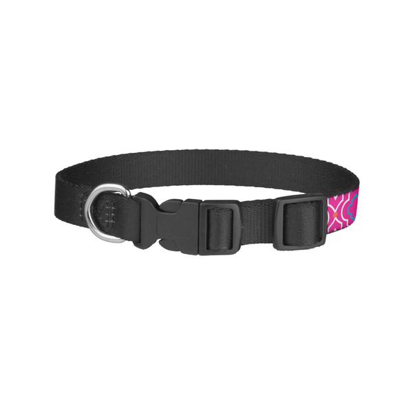 Colorful Trellis Dog Collar - Small - Back